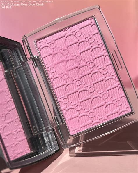 backstage blush dior|dior backstage blush review.